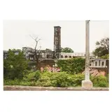 Graffiti by Stacey Evans, Color photograph, sold Jan 2025
