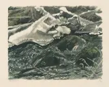 Wasseramsel by Robert Hainard, 1952, color woodcut, offered Sep 2025