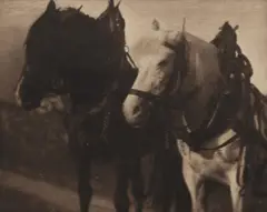 Horses (from Camera Work 12), 1905 by Alfred Stieglitz, 1905, photogravure, sold Sep 2026