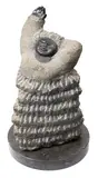 A carved stone figure - Goodbye to Friends: on a circular marble base by Colleen Madamombe, sculpture, sold Oct 2019
