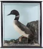 Ful by Great Northern Diver, sculpture, sold Feb 2015