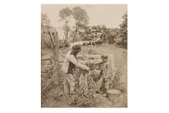 Untitled by Peter Henry Emerson, photograph, offered Jan 2024