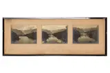 Untitled by Alan C Brown, Silver gelatin print triptych, offered Jan 2024