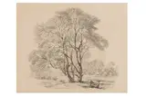Untitled by Carl Ludvig Messmann, ink, offered Jan 2024