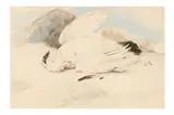 Untitled by Edwin Henry Landseer, watercolour, offered Jan 2024