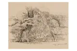 Untitled by Carl Ludvig Messmann, ink, offered Jan 2024