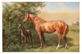 Snr. (1795-1865) by John Frederick Herring, Sr., watercolour, offered Jan 2024