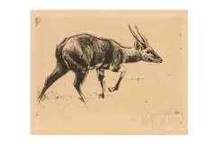 Untitled by Wilhelm Kuhnert, etching, offered Jan 2024