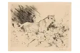Untitled by Wilhelm Kuhnert, etching, offered Jan 2024