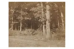 Untitled by Charles Marville, print, offered Nov 2023