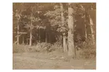Untitled by Charles Marville, print, offered Nov 2023