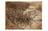 Untitled by Achille Quinet, print, offered Nov 2023