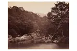 Untitled by Henry White, print, offered Nov 2023