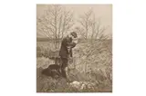 Untitled by Peter Henry Emerson, photograph, offered Nov 2023