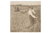 Untitled by Peter Henry Emerson, photograph, offered Nov 2023