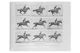 Untitled by Eadweard Muybridge, photograph, offered Nov 2023