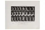 Untitled by Eadweard Muybridge, photograph, offered Nov 2023