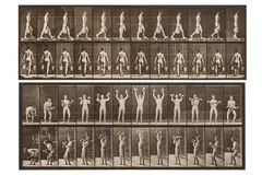 Untitled by Eadweard Muybridge, photograph, offered Nov 2023