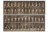 Untitled by Eadweard Muybridge, photograph, offered Nov 2023