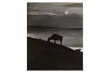 Untitled by Bill Brandt, Silver gelatin print, printed later, image size, offered Nov 2023