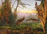 Snipe at evening by Rosa Brett, Oil on canvas, unframedSigned and dated `1869', sold Dec 2022