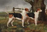 A couple of warwickshire hounds by Henry Frederick Lucas Lucas, 1889, oil, sold Dec 2022