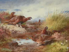 Red grouse by Archibald Thorburn, 1928, watercolor, sold Dec 2022