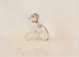 Mrs. allnutt's greyhound by James Ward, 1829, watercolor, sold Nov 2022