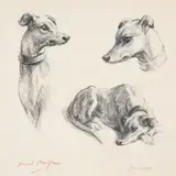 Studies of a hound by Raoul Millais, drawing, sold Nov 2022