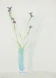 Siberian irises by Elizabeth Blackadder, 1980, Pencil and watercolour, sold Oct 2022