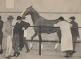 THE HORSE DEALERS (WARD'S REPOSITORY NO.1) plus three by Robert Bevan, Lithograph, sold Oct 2022