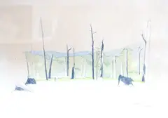 Australian landscapes by Kevin Pearsh, drawing, offered May 2023