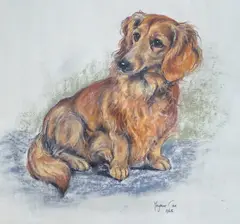 Portrait of a long-haired daschund by Marjorie Cox, 1965, pastel, offered May 2023
