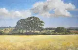 Cornfield by Pat Reid, oil on board, offered May 2023