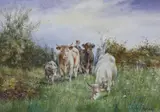 Cattle and drover by Walter J. Moreby, watercolour, offered Apr 2023