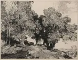 The Sunny Mill by Leonard Russell Squirrell, etching, sold Jul 2023