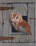 American Short Haired Owl trompe-l'oeil by Alan Weston, Oil on canvas, sold Jul 2023