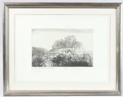 On Twyford Down, St Catherine's Hill, Winchesteraquatint by Norman Ackroyd, pencil, sold Jun 2025
