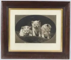 Three Kittens' mezzotint by Herbert Dicksee, pencil, sold Jun 2025