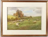 Sheep grazing on Downland pasture by Cyril Ward, watercolour, offered Apr 2025