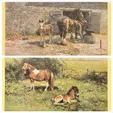 Shelties' and (960/1200) 'Shoeing Time by David Shepherd, pencil, sold Oct 2023