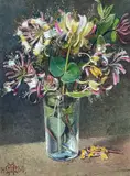 Honeysuckle' monogrammed and dated 1880, 36 x 27cmsProvenance: private collection CardiffComments: framed and glazed, ready to hang by Joseph Middleton Jopling, 1880, watercolour, sold Oct 2023