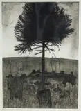 Graveyard and Monkey Puzzle Tree by George Chapman limited edition, etching, sold Jul 2023
