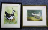Study of a Hen Lapwing sitting upon her clutch by Elena Williams, Watercolour & gouache, offered Jun 2021