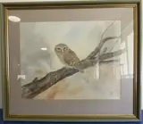 Little Owl by Tony Holahan, watercolour, sold Mar 2021