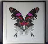 an ebonised box-framed and glazed limited edition (22/85) colour lithograph, multi-coloured butterfly made up from other butterflies and birds etc by Kristjana S Williams, lithograph, offered Oct 2020