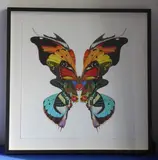 an ebonised box-framed and glazed limited edition (40/50) colour lithograph, multi-coloured butterfly made up from other butterflies etc by Kristjana S Williams, lithograph, sold Oct 2020