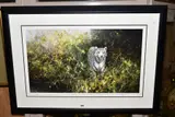 THE WHITE TIGER OF REWA' a limited edition silk screen print 253/350 by David Shepherd, print, sold Jul 2020