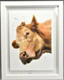 BUTTERCUP' a portrait study of a Cow by Sarah Stokes, watercolour on paper, sold Jul 2020