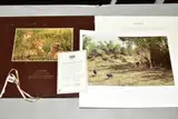 African wilderness by Alan M. Hunt, print, sold Jul 2020